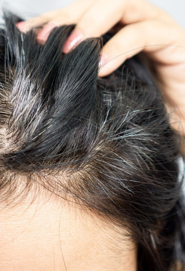 🌿 أفضل كورس طبيعي لإخفاء الشيب بخطوتين فقط – بدون صبغات ونتيجة فورية